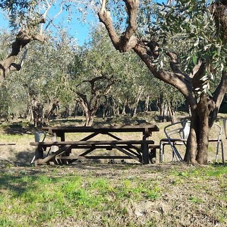 Agriturismo Cele Celle Ligure Luaran gambar