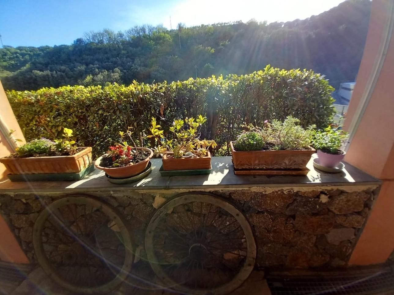 Agriturismo Cele Celle Ligure Luaran gambar