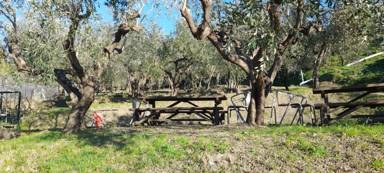 Agriturismo Cele Celle Ligure Luaran gambar
