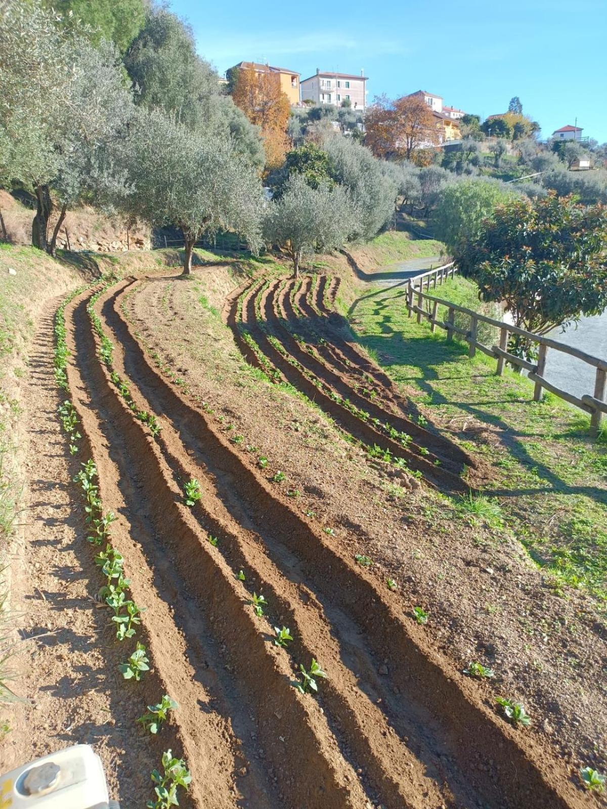 Agriturismo Cele Celle Ligure Luaran gambar